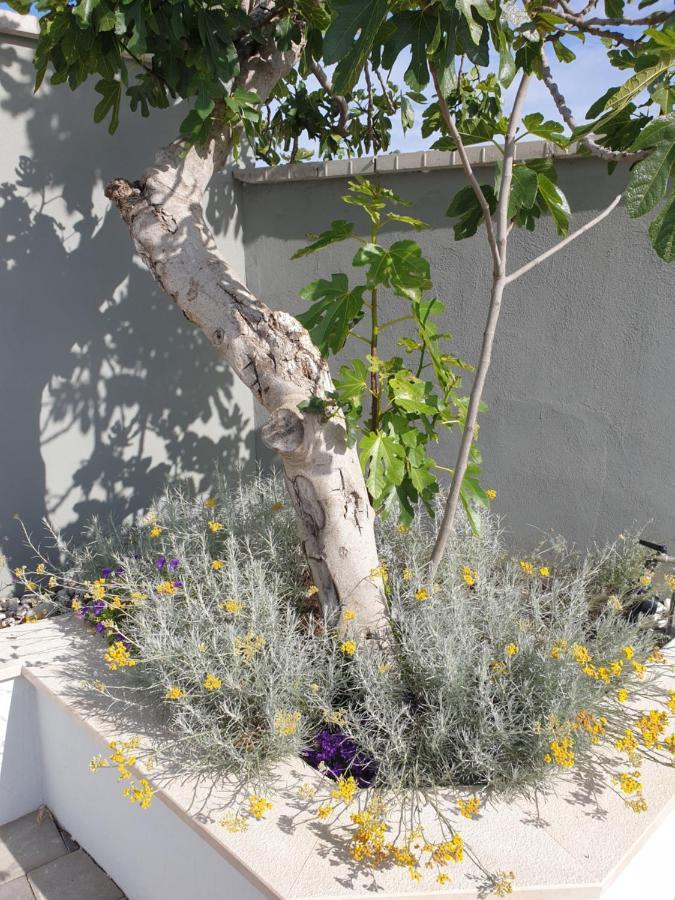Villa Flores Kavran 외부 사진